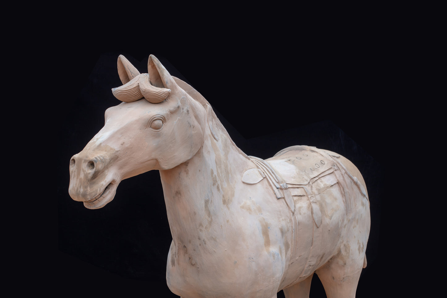 1.8M Horse - CLAYARMY -Profile shot emphasizing the majestic posture and intricate features of our 1.8M Clayarmy Terracotta Horse.